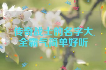 传奇战士的名字大全霸气简单好听