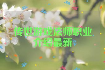 传世游戏法师职业介绍最新