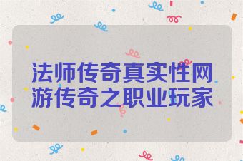 法师传奇真实性网游传奇之职业玩家