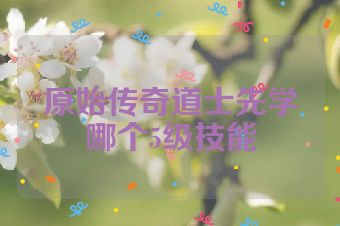 原始传奇道士先学哪个5级技能