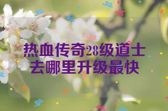 热血传奇28级道士去哪里升级最快