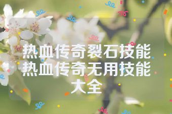热血传奇裂石技能热血传奇无用技能大全