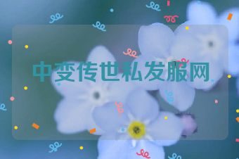 中变传世私发服网