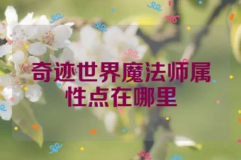 奇迹世界魔法师属性点在哪里