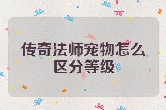 传奇法师宠物怎么区分等级