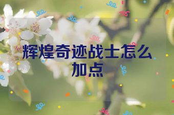 辉煌奇迹战士怎么加点