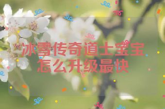 冰雪传奇道士宝宝怎么升级最快