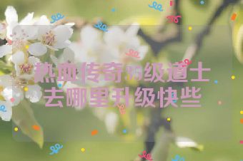 热血传奇35级道士去哪里升级快些