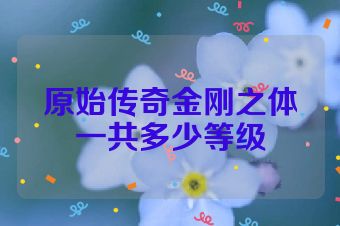 原始传奇金刚之体一共多少等级