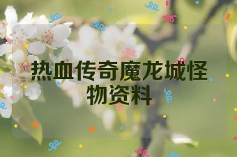 热血传奇魔龙城怪物资料
