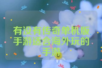 有没有传奇单机版手游适合海外玩的手游
