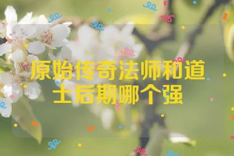 原始传奇法师和道士后期哪个强