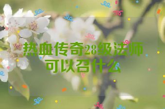 热血传奇28级法师可以召什么