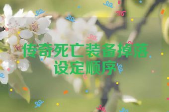 传奇死亡装备掉落设定顺序