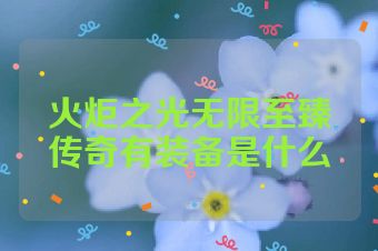 火炬之光无限至臻传奇有装备是什么