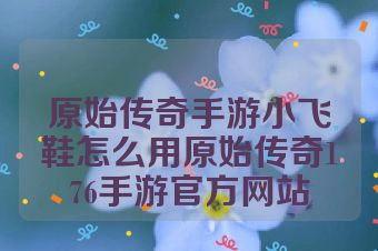 原始传奇手游小飞鞋怎么用原始传奇176手游官方网站