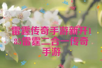雷霆传奇手游新开185雷霆二合一传奇手游