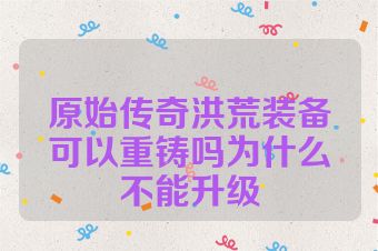 原始传奇洪荒装备可以重铸吗为什么不能升级