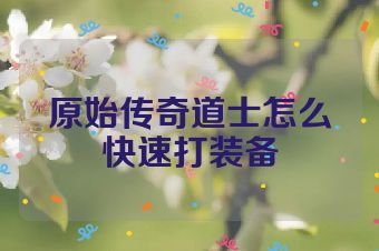 原始传奇道士怎么快速打装备