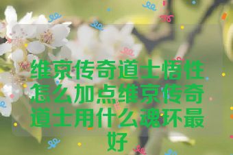 维京传奇道士悟性怎么加点维京传奇道士用什么魂环最好
