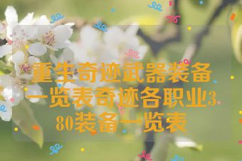 重生奇迹武器装备一览表奇迹各职业380装备一览表