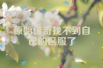原始传奇找不到自己的区服了