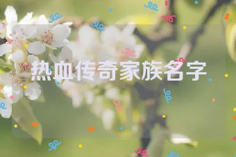 热血传奇家族名字