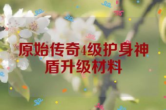 原始传奇4级护身神盾升级材料