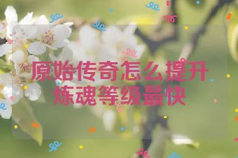 原始传奇怎么提升炼魂等级最快