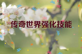 传奇世界强化技能