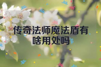 传奇法师魔法盾有啥用处吗