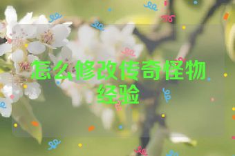怎么修改传奇怪物经验