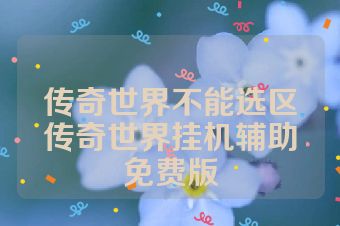 传奇世界不能选区传奇世界挂机辅助免费版