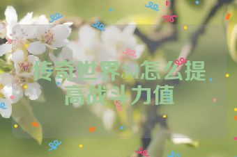 传奇世界3d怎么提高战斗力值