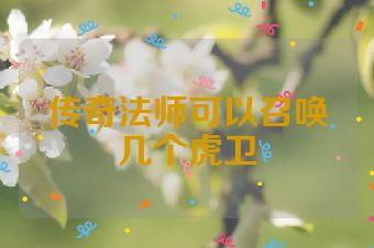 传奇法师可以召唤几个虎卫