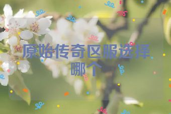 原始传奇区服选择哪个