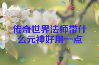 传奇世界法师带什么元神好用一点