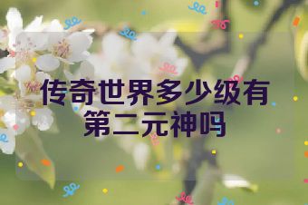 传奇世界多少级有第二元神吗