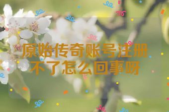 原始传奇账号注册不了怎么回事呀