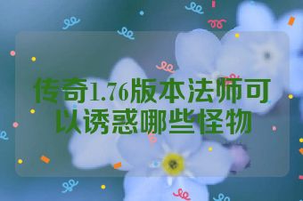 传奇1.76版本法师可以诱惑哪些怪物