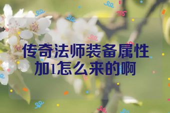 传奇法师装备属性加1怎么来的啊