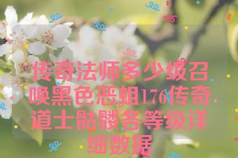传奇法师多少级召唤黑色恶蛆176传奇道士骷髅各等级详细数据