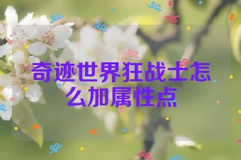 奇迹世界狂战士怎么加属性点