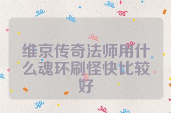 维京传奇法师用什么魂环刷怪快比较好