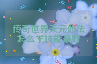 传奇世界天元心法怎么学技能最好