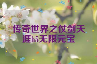 传奇世界之仗剑天涯h5无限元宝