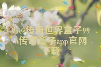 91cs传奇世界盒子996传奇盒子app官网下载