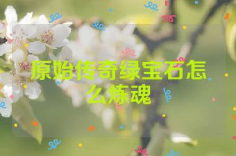 原始传奇绿宝石怎么炼魂