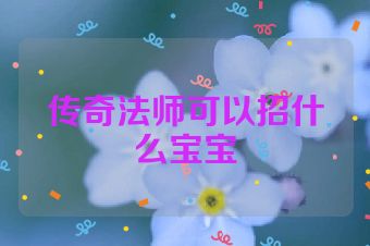 传奇法师可以招什么宝宝