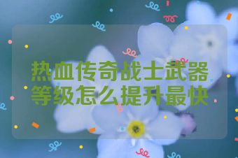 热血传奇战士武器等级怎么提升最快